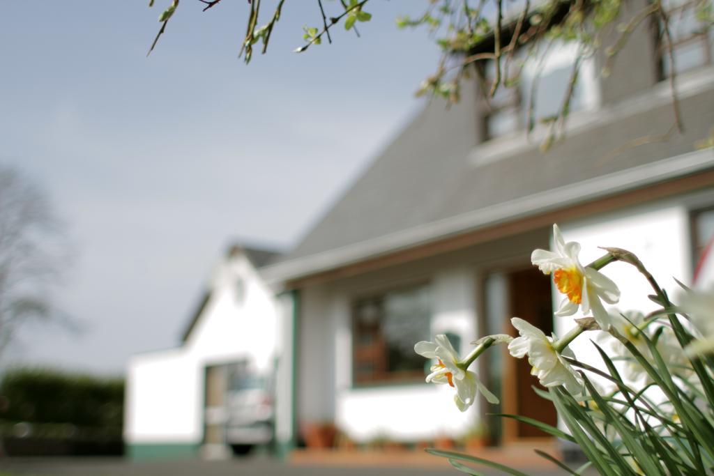 Seisnaun B&B Sligo Exterior photo